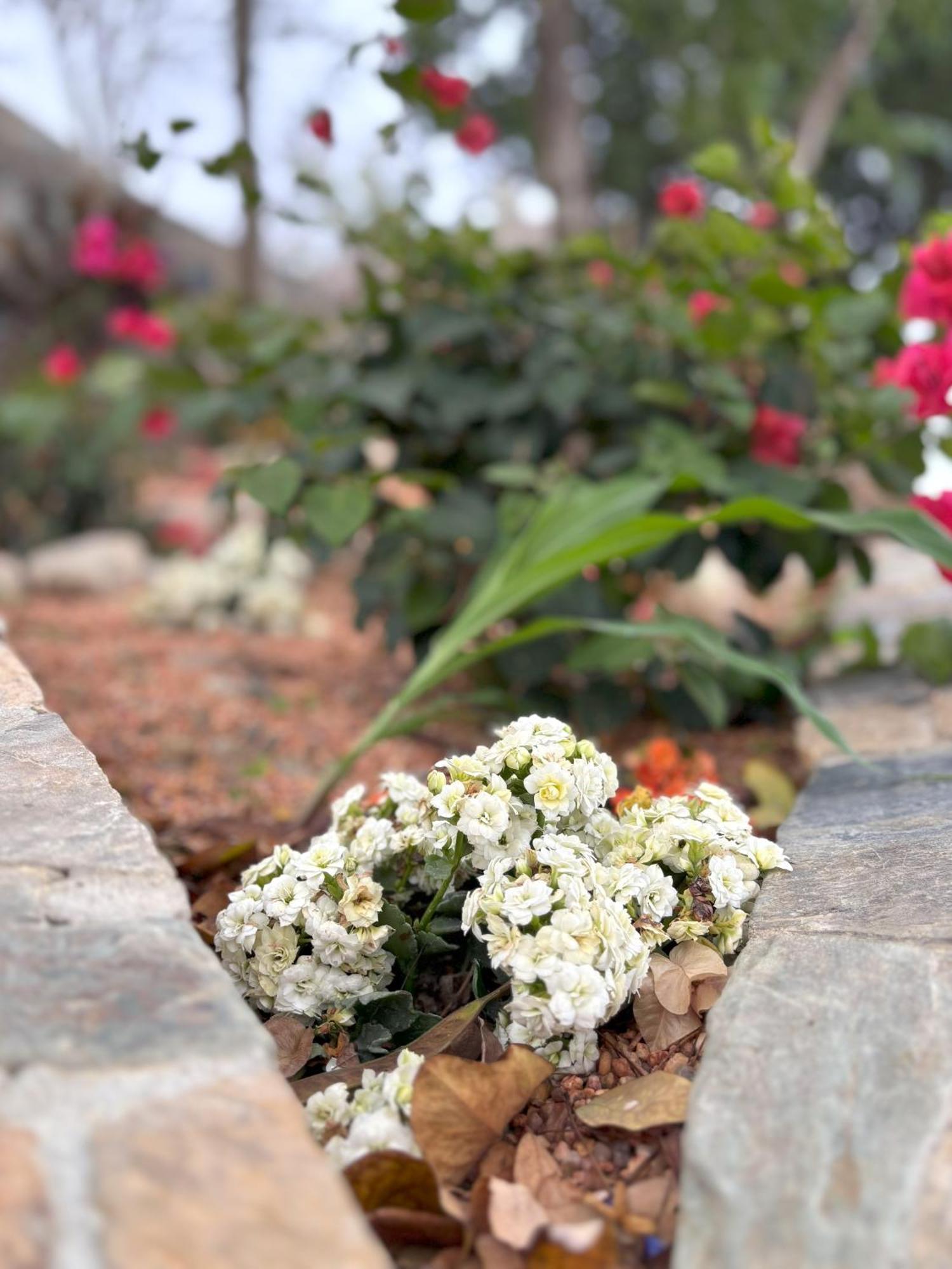 Casa Las Almas Mazunte Dış mekan fotoğraf
