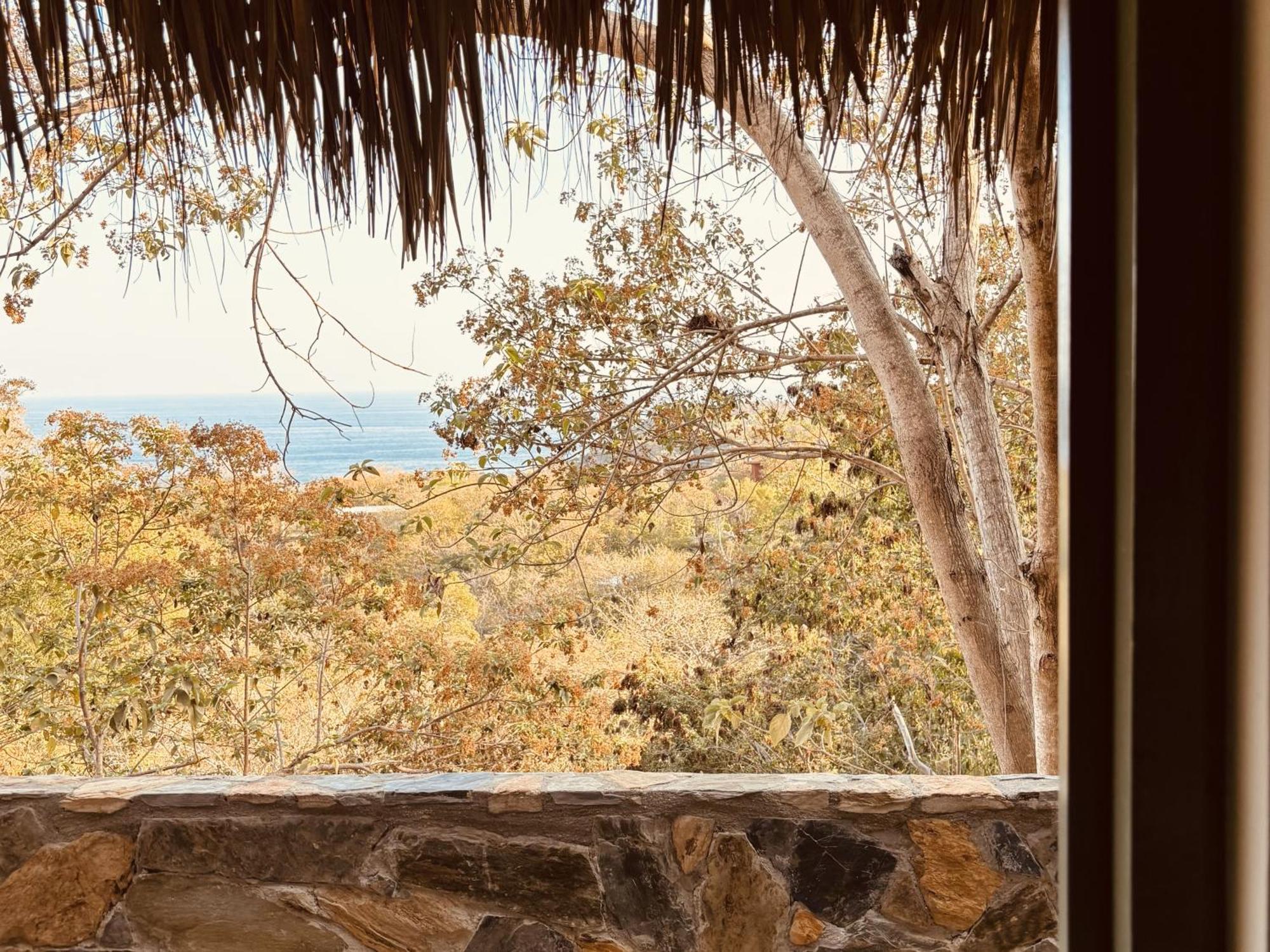 Casa Las Almas Mazunte Oda fotoğraf